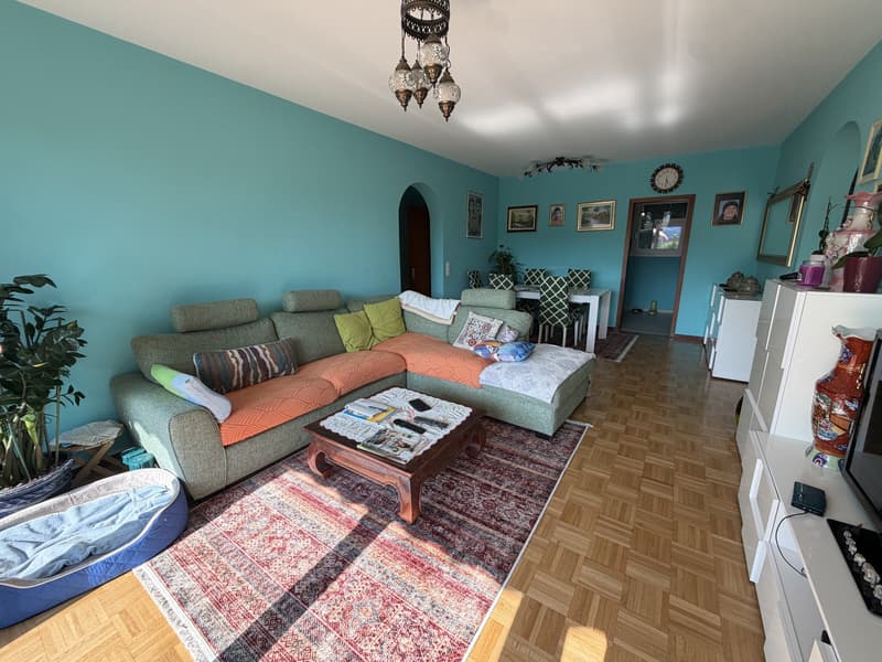 Charming 3.5-room apartment with terrace and garden in Pregassona (3)