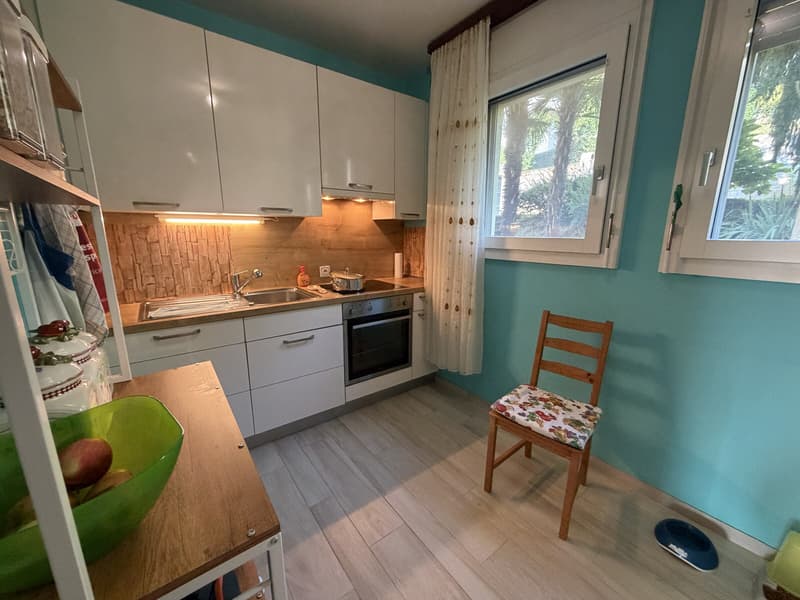 Charming 3.5-room apartment with terrace and garden in Pregassona (5)
