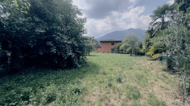Land with license for 4 villas in Ponte Capriasca (2)
