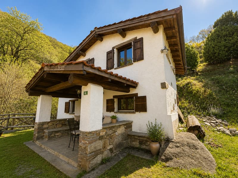 Cozy House with 3.5 Rooms and Historic Charm in Camignolo (1)