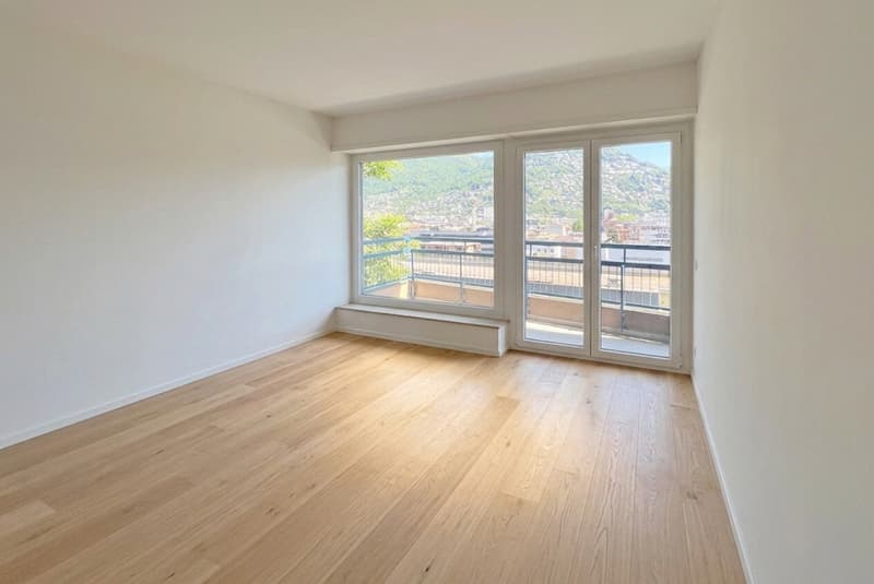 SPLENDID 4.5 ROOMS WITH LAKE VIEW IN CENTRAL AREA OF LUGANO (7)