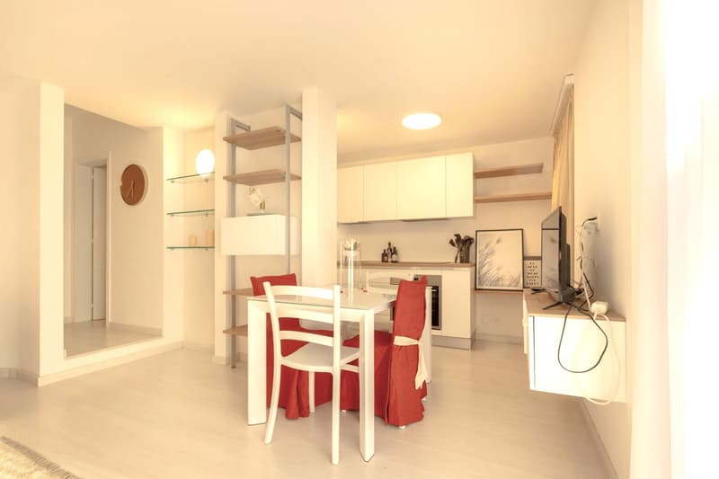 Beautiful 1.5 rooms for rent with garden and pool in Morcote (5)