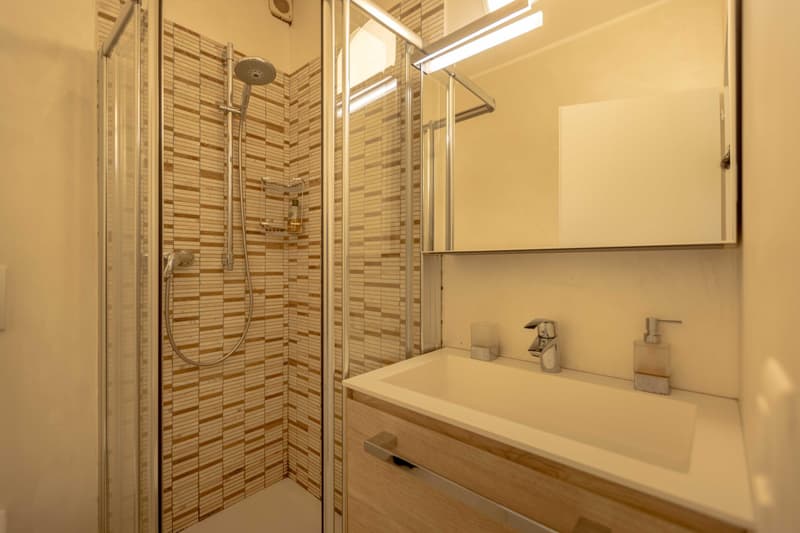 Beautiful 1.5 rooms for rent with garden and pool in Morcote (6)