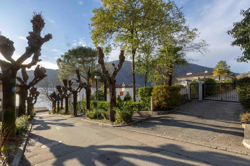 Beautiful 1.5 rooms for rent with garden and pool in Morcote (10)