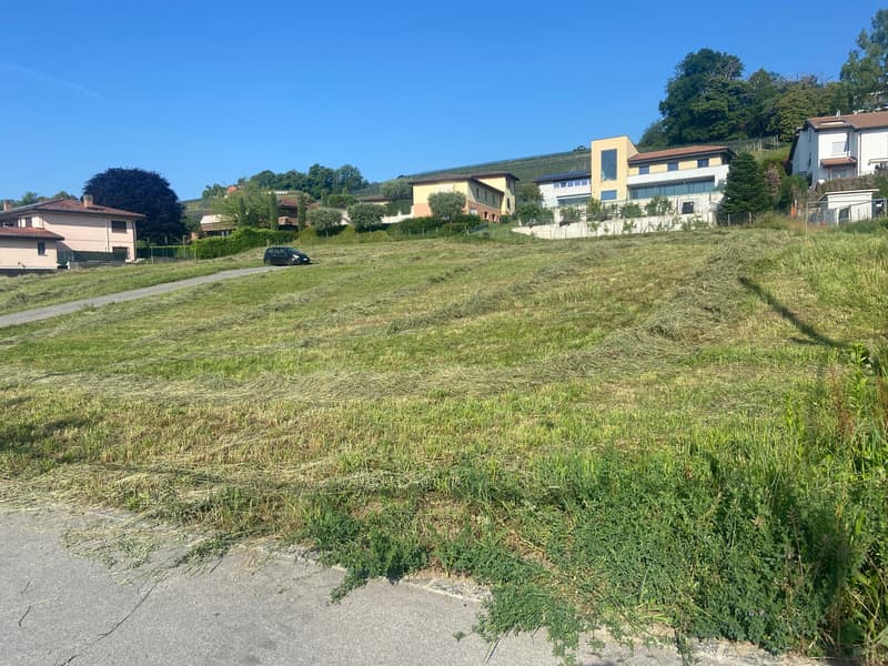 GRANDE PORZIONE DI TERRENO PER UNA AMPIA VILLA A STABIO (1)