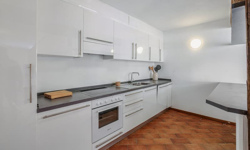 Nuclear Home with 4 Apartments in Barbengo (4)