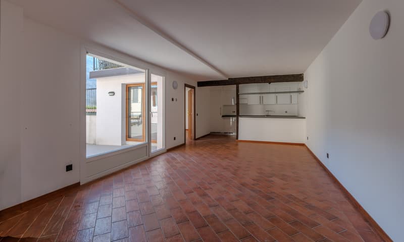 Nuclear Home with 4 Apartments in Barbengo (2)