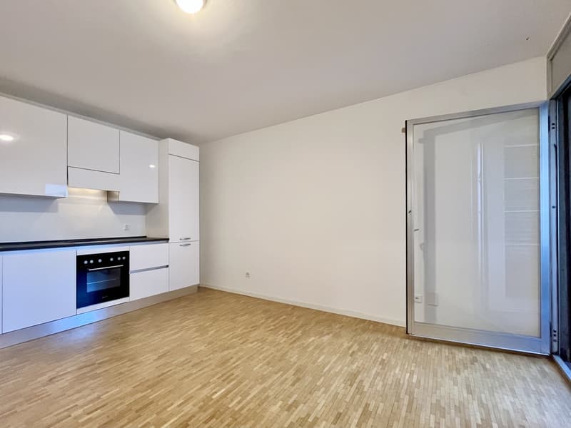 INVESTIMENTO IDEALE - MONOLOCALE A REDDITO A COLDRERIO (2)