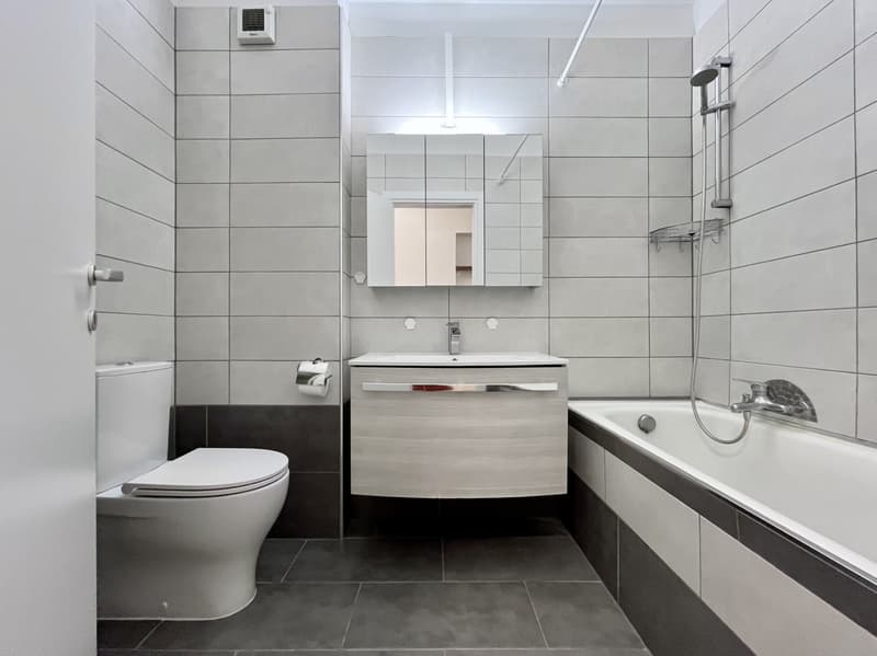 INVESTIMENTO IDEALE - MONOLOCALE A REDDITO A COLDRERIO (5)