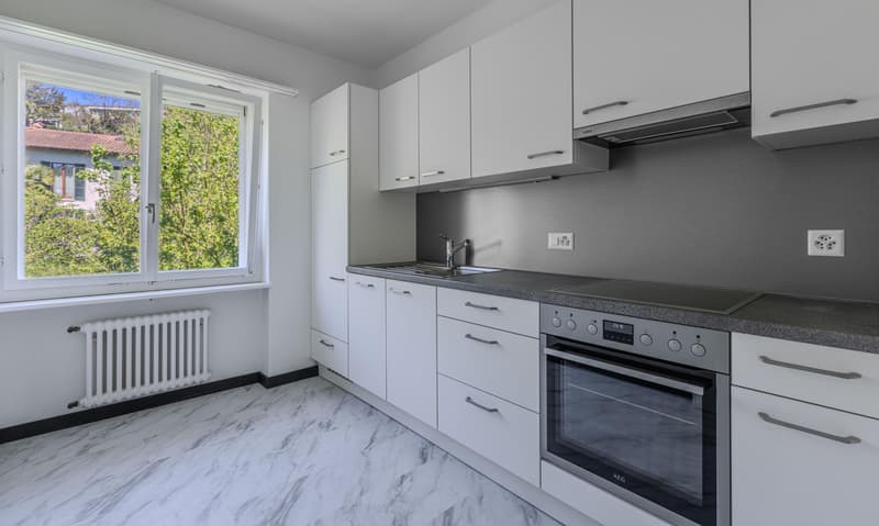 3.5 LOCALI RISTRUTTURATO CON VISTA APERTA NEL VERDE A STABIO (3)