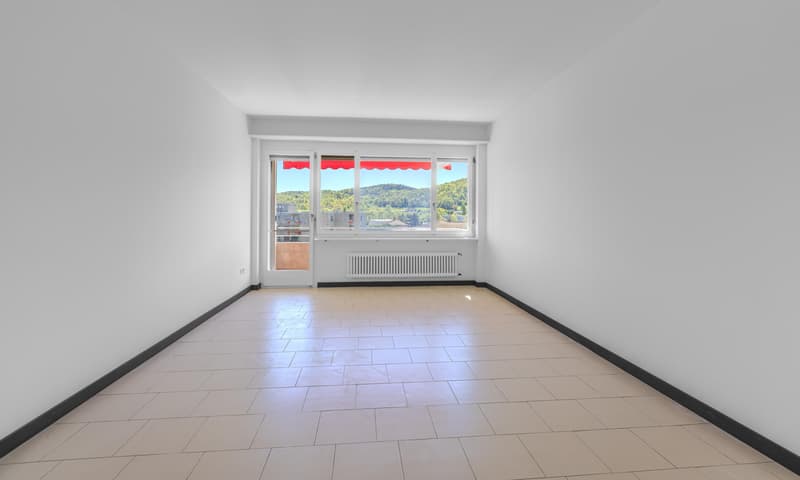 3.5 LOCALI RISTRUTTURATO CON VISTA APERTA NEL VERDE A STABIO (4)