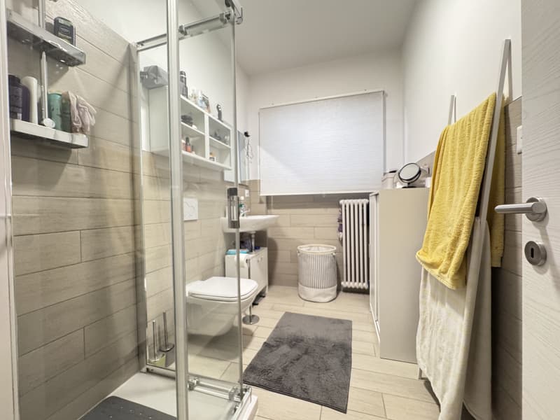 SPACIOUS 4.5-ROOM APARTMENT LIKE NEW WITH BALCONY IN LUGANO BREGANZONA (8)