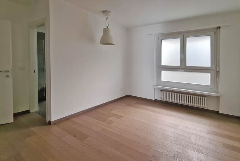 3.5 rooms with breathtaking lake view in Lugano Castagnola (6)