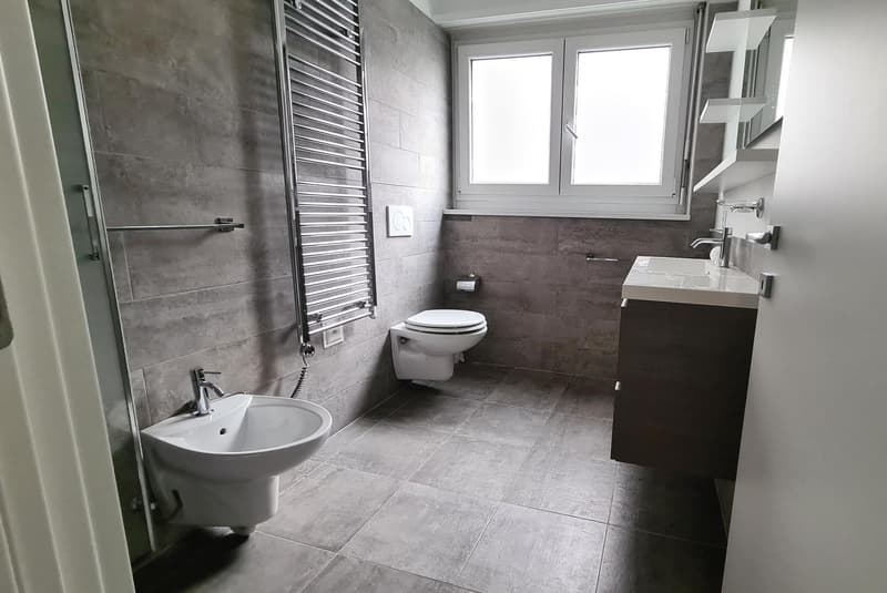 3.5 rooms with breathtaking lake view in Lugano Castagnola (5)