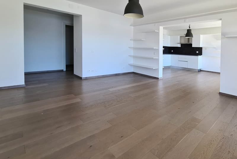 3.5 rooms with breathtaking lake view in Lugano Castagnola (4)