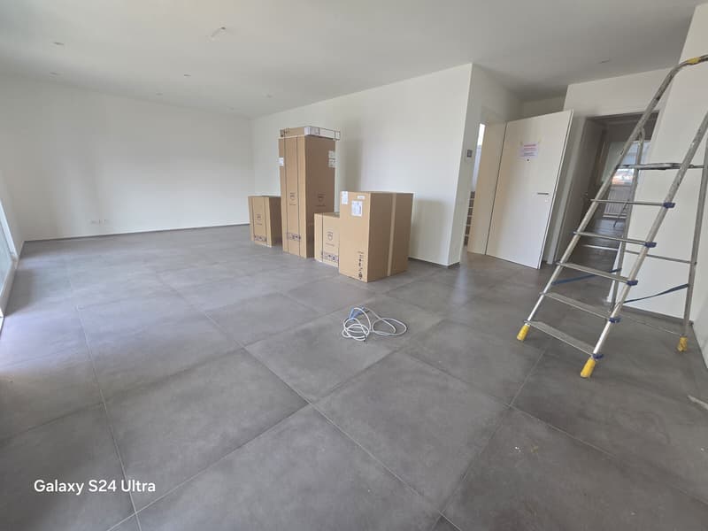 BELLISSIMO E NUOVO 3.5 LOCALI CON GRANDE TERRAZZA AD AGNO (7)