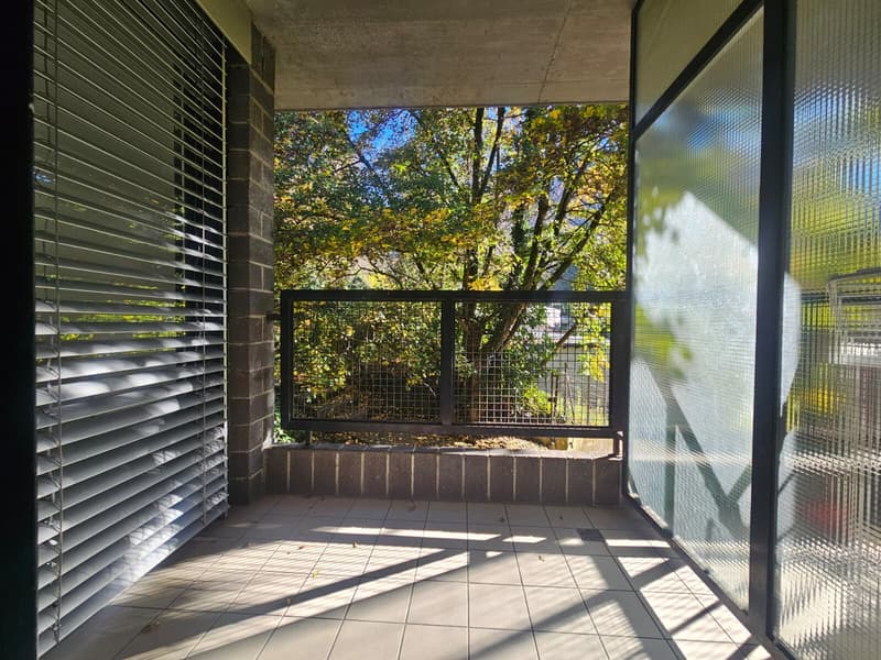 AFFITTASI 1.5 LOCALI IN ZONA COMODA A LUGANO CORNAREDO (2)