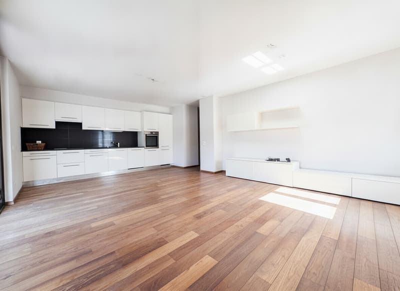 AMPIO 4.5 LOCALI CON TERRAZZA E POSTEGGI A LUGANO PREGASSONA (2)