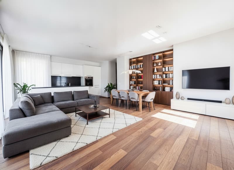 AMPIO 4.5 LOCALI CON TERRAZZA E POSTEGGI A LUGANO PREGASSONA (1)