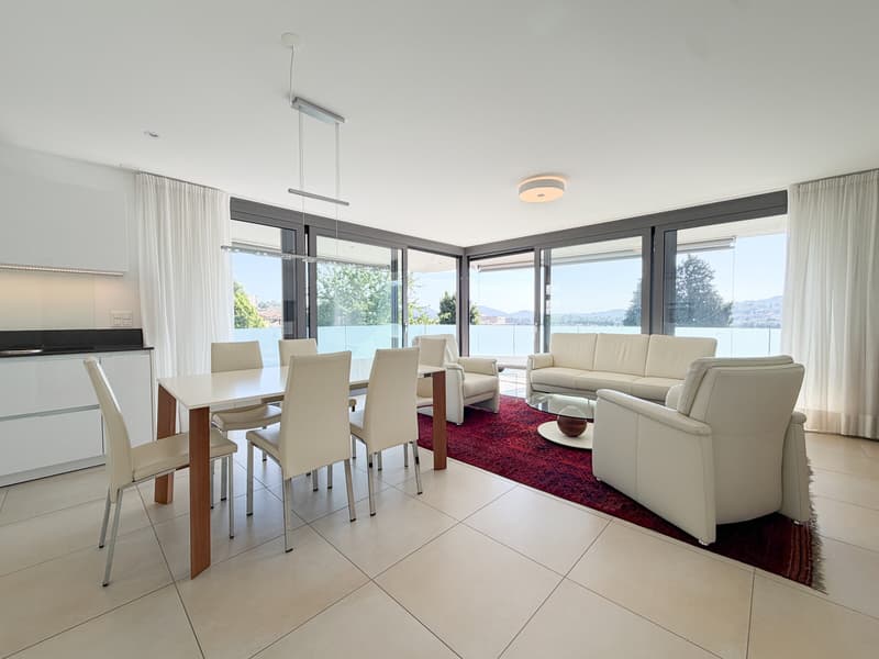 STUPENDO 4.5 LOCALI CON TERRAZZA PANORAMICA A MENDRISIO (3)