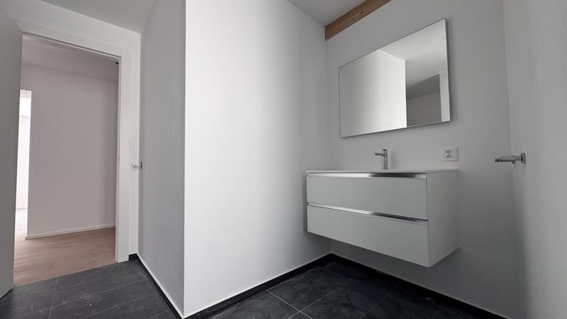 MODERNO ED AMPIO 3.5 LOCALI DI CHARME A MENDRISIO CENTRO (5)