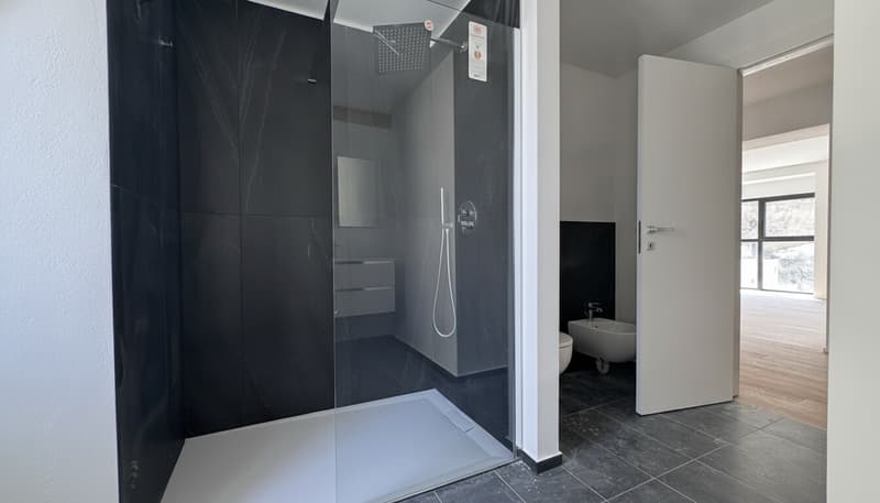MODERNO ED AMPIO 3.5 LOCALI DI CHARME A MENDRISIO CENTRO (4)