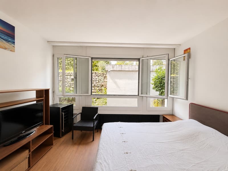 GRANDE 3.5 LOCALI CON AMPIO GIARDINO PRIVATO A LUGANO BESSO (8)