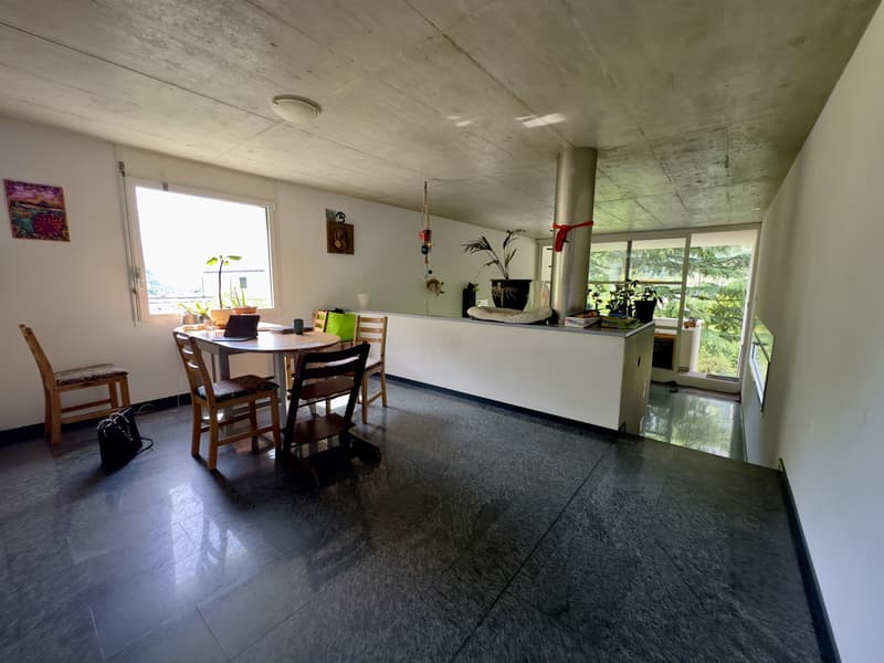 MODERNA CASA 7 LOCALI CON AMPIO GIARDINO A GIORNICO (1)