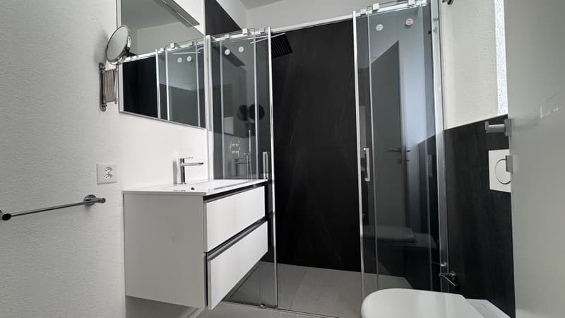 ELEGANTE APPARTAMENTO 2.5 LOCALI IN CENTRO A MENDRISIO (8)