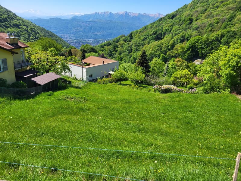 GRANDE TERRENO EDIFICABILE DI 1000 MQ A BRÃ SOPRA LUGANO (1)