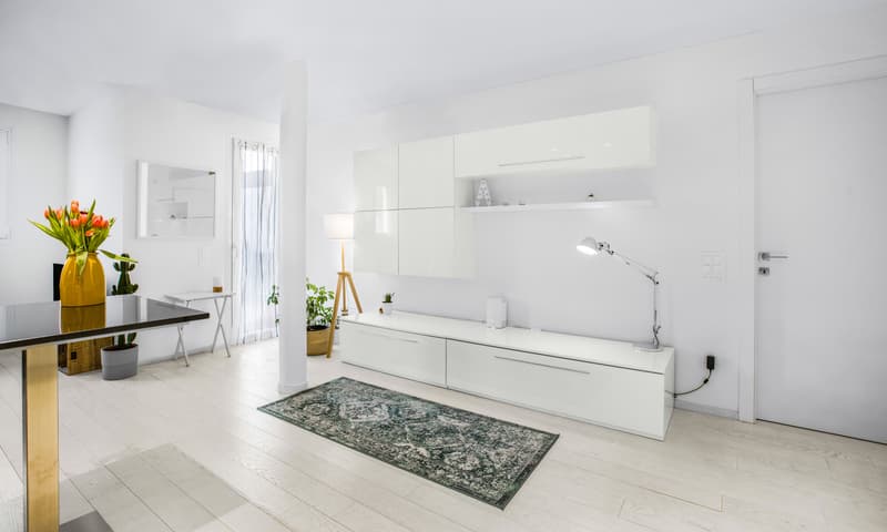 STUPENDO E MODERNO 2.5 LOCALI CON VISTA APERTA A MASSAGNO (3)