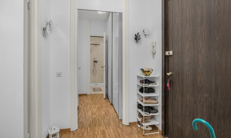 ELEGANTE 2.5 LOCALI IN POSIZIONE COMODA A LUGANO CASSARATE (5)