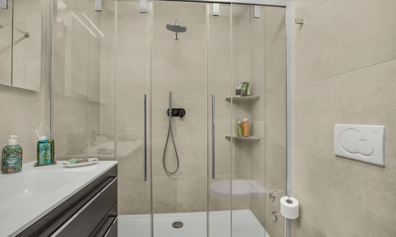 ELEGANTE 2.5 LOCALI IN POSIZIONE COMODA A LUGANO CASSARATE (7)