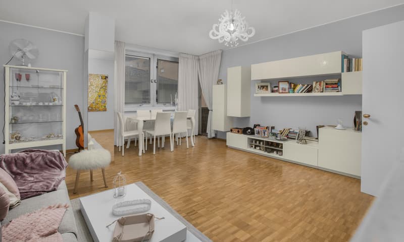 ELEGANTE 2.5 LOCALI IN POSIZIONE COMODA A LUGANO CASSARATE (1)