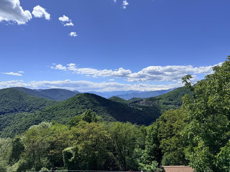 TERRENO EDIFICABILE DI 1237 MQ CON VISTA PANORAMICA - ARANNO (5)