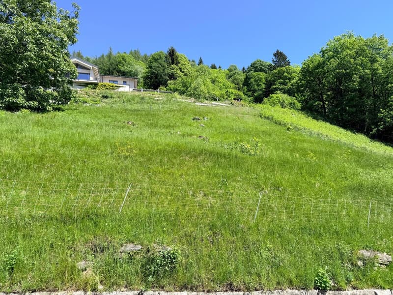 TERRENO EDIFICABILE DI 1237 MQ CON VISTA PANORAMICA - ARANNO (1)