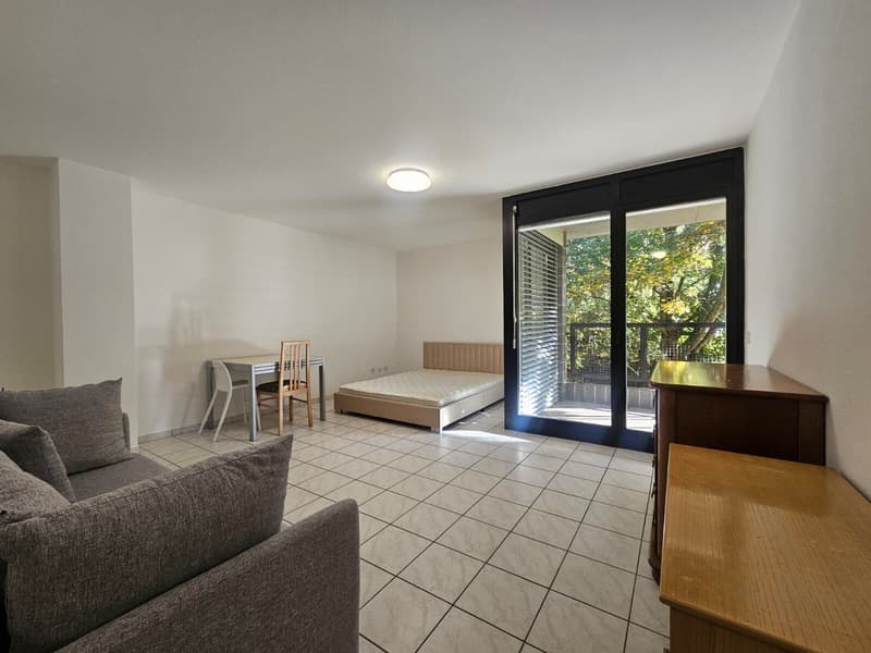 INVESTIMENTO - 1.5 LOCALI ARREDATO CON BALCONE A CANOBBIO (1)