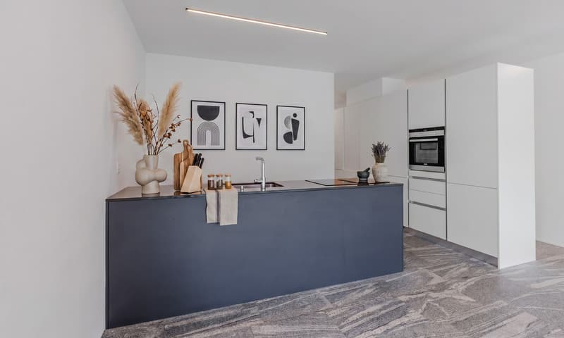 MODERNO ED AMPIO 3.5 LOCALI COME NUOVO A BELLINZONA (3)