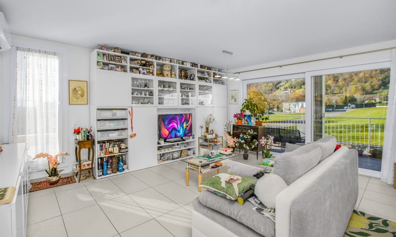 MODERNA E AMPIA VILLA BIFAMILIARE 6.5 CON PISCINA A BEDANO (1)