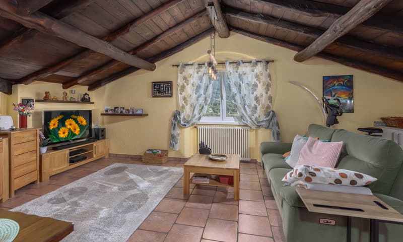 AMPIO 3.5 CON GRANDE TERRAZZA E VISTA APERTA IN CAPRIASCA (4)