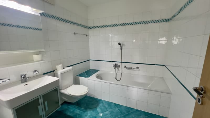AFFARE - CONFORTEVOLE DUPLEX 3.5 LOCALI NEL CUORE DI PURASCA (8)