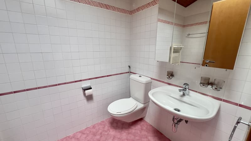 AFFARE - CONFORTEVOLE DUPLEX 3.5 LOCALI NEL CUORE DI PURASCA (9)