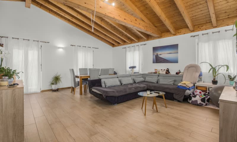 ESCLUSIVA CASA TRIFAMILIARE 8.5 LOCALI CON GROTTINO A MELANO (1)