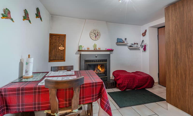 ACCOGLIENTE E GRAZIOSA CASA 5.5 CON GIARDINO A MEDEGLIA (5)