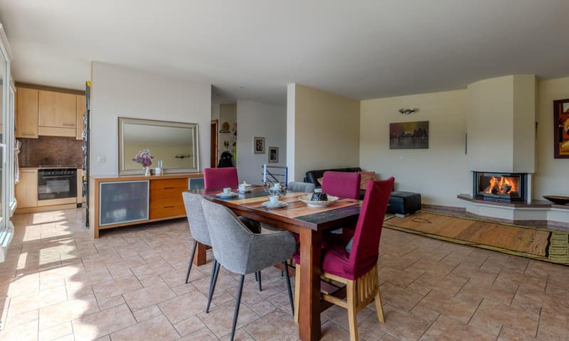 AMPIA VILLA 4.5 LOCALI CON TERRAZZA GIARDINO E VISTA AD AGNO (1)