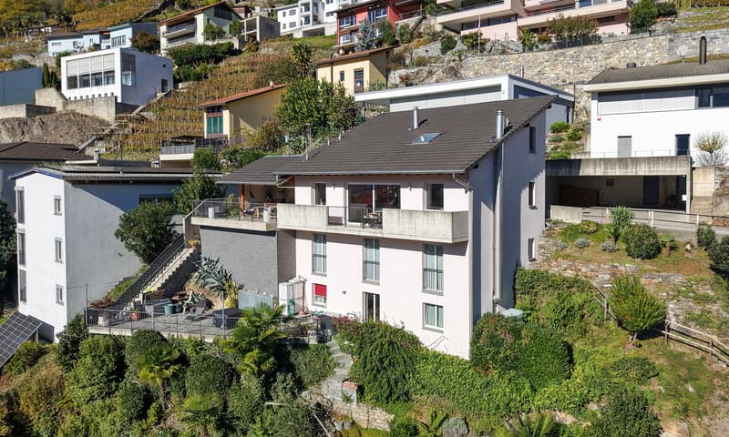 MERAVIGLIOSA VILLA 6.5 LOCALI CON VISTA APERTA A BELLINZONA (1)