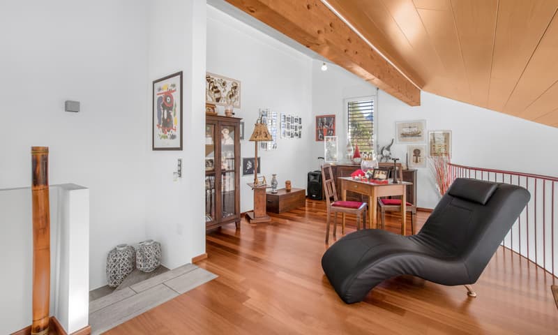 MERAVIGLIOSA VILLA 6.5 LOCALI CON VISTA APERTA A BELLINZONA (6)