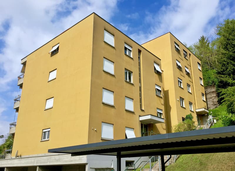 SPAZIOSO E MODERNO 3.5 LOCALI CON VISTA NEL VERDE A SAVOSA (9)