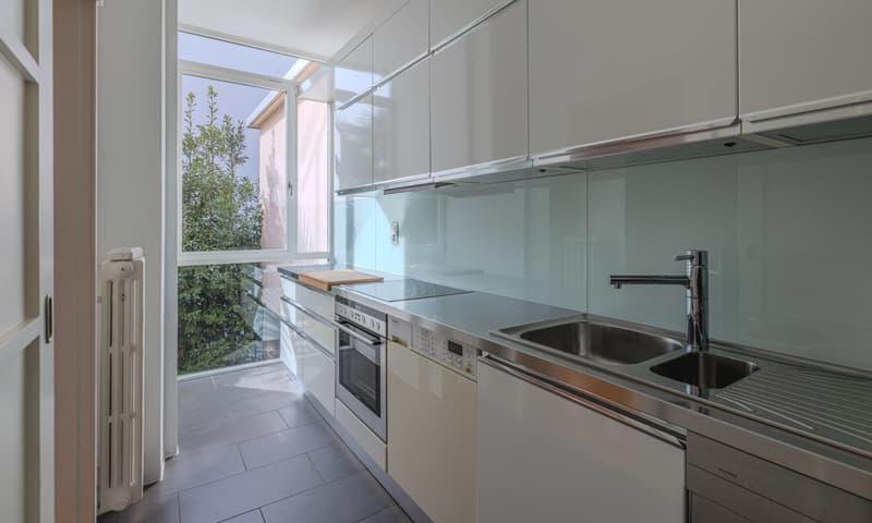 RENT TO BUY - 4.5 LOCALI CON VISTA APERTA IN CENTRO A LUGANO (6)