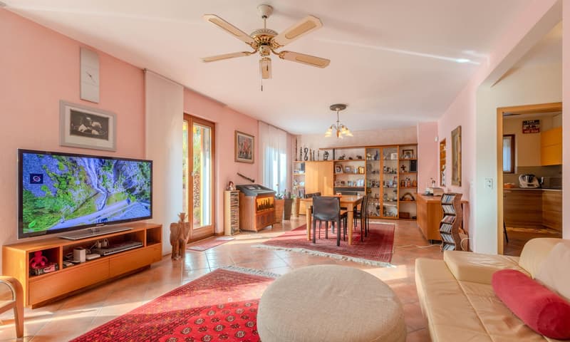 BELLISSIMA CASA 6.5 CON GROTTO E GIARDINO A RIVA SAN VITALE (2)